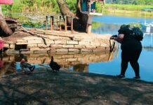 Fomentan Córdoba cultura ambiental y participación ciudadana con curso de fotografía urbana