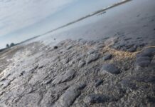 Este desastre no es nuestro / Bernardo Gutiérrez Parra