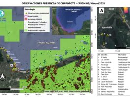 Derrame de crudo recorre 170 km de costa; reportan muerte de especies