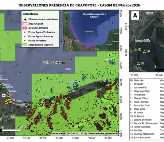 Derrame de crudo recorre 170 km de costa; reportan muerte de especies