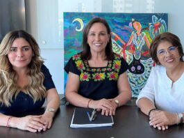 Coordinación y diálogo permanente para garantizar servicios básicos en Veracruz: Rocío Nahle