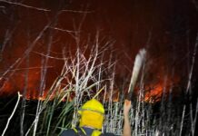 Bomberos y PC municipal de Veracruz atienden incendio de pastizal en la zona poniente de la ciudad