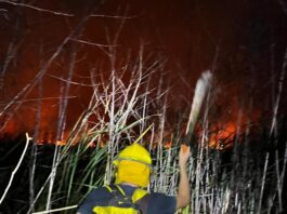 Bomberos y PC municipal de Veracruz atienden incendio de pastizal en la zona poniente de la ciudad
