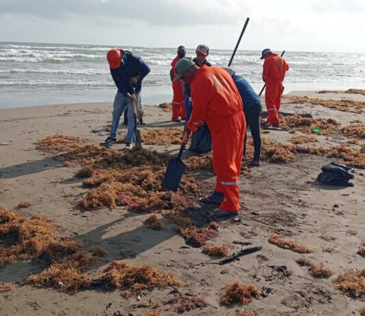 Derrame de chapopote se extiende en Veracruz y Tabasco; hay 39 localidades afectadas