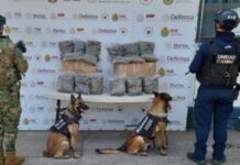 Operativos de la SSP: 29 detenidos y decomiso de cerca de 12 kilos y más de 230 dosis de estupefacientes