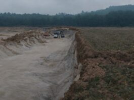Perote, negocios con el tepezil / Enrique Yasser Pompeyo