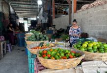 Yadira, el rostro femenino del esfuerzo en la Central de Abastos de Xalapa