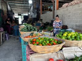 Yadira, el rostro femenino del esfuerzo en la Central de Abastos de Xalapa