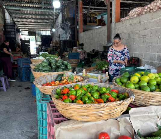 Yadira, el rostro femenino del esfuerzo en la Central de Abastos de Xalapa