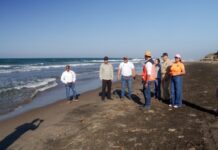 Coordinación interinstitucional para la supervisión de playas en Alvarado