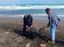 Garantiza PMA limpieza de playas tras arribo de residuos de hidrocarburo