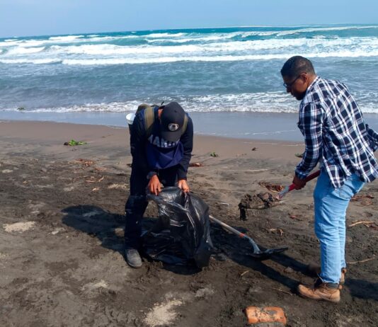 Garantiza PMA limpieza de playas tras arribo de residuos de hidrocarburo