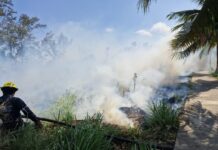 Bomberos y PC municipal de Veracruz atienden incendio de pastizal en zona poniente de la ciudad