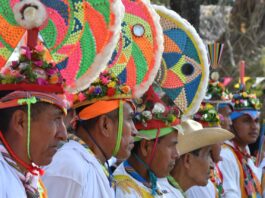 Cumbre Tajín, encuentro con la identidad y la herencia de los pueblos originarios