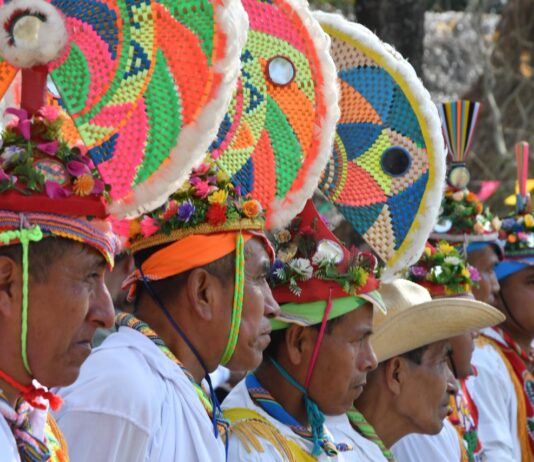 Cumbre Tajín, encuentro con la identidad y la herencia de los pueblos originarios