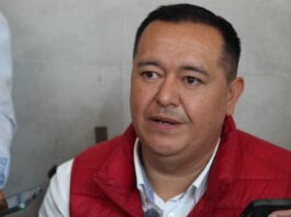 El agente de El Castillo / Enrique Yasser Pompeyo