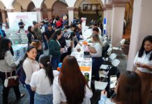 Con más y mejor empleo se impulsa el desarrollo económico en Xalapa