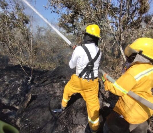 Bomberos atienden hasta 5 incendios de pastizales diarios en Xalapa