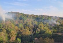 Reportan incendio forestal en inmediaciones del río Sedeño