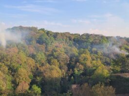 Reportan incendio forestal en inmediaciones del río Sedeño