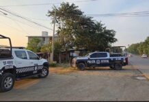 Veracruz registra 7 homicidios dolosos en 24 horas