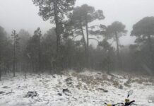 Cofre de Perote se pinta de blanco a días de la primavera