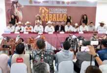 Veracruz será sede del 1er Congreso Nacional del Caballo 2026