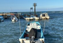Reportan crisis pesquera en Veracruz