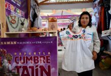 DIF acerca servicios de bienestar y protección infantil en Cumbre Tajín