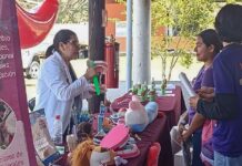 Salud acerca prevención y orientación a visitantes de Cumbre Tajín