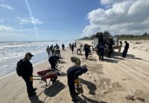 Grupo Interinstitucional despliega más de 2 mil 400 elementos coordinados para atender la presencia de hidrocarburos en costas de Veracruz y Tabasco