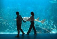 Invita Aquarium a disfrutar una experiencia única en Semana Santa