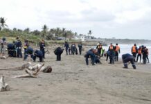 Playas de Alvarado en buen estado; llaman a evitar desinformación