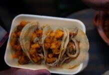 Festival del Taco superó expectativas; se vivió una gran fiesta familiar que reactivo la economía