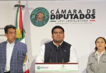 Plantea Jonathan Puertos que personas indígenas radicadas en el extranjero tengan servicios consulares con apoyo de intérpretes