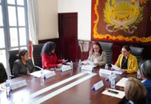 El IMMX fortalecerá la profesionalización de su personal en colaboración con la Sefiplan