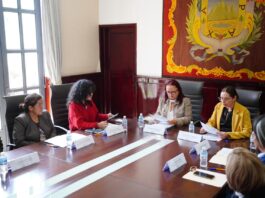 El IMMX fortalecerá la profesionalización de su personal en colaboración con la Sefiplan