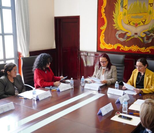 El IMMX fortalecerá la profesionalización de su personal en colaboración con la Sefiplan