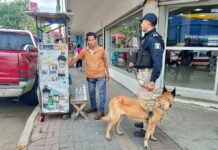 Policía Municipal de Coatzacoalcos fortalece la proximidad social con la Unidad Canina en el centro de la ciudad