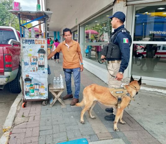 Policía Municipal de Coatzacoalcos fortalece la proximidad social con la Unidad Canina en el centro de la ciudad