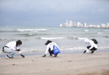 Con brigadas de limpieza en Villa del Mar, garantizada la llegada de visitantes: PMA