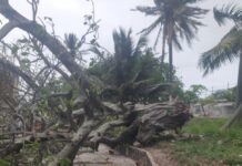 Activa Gobierno de Coatzacoalcos operativo por Frente Frío 41 y atiende reportes