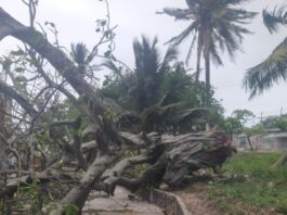 Activa Gobierno de Coatzacoalcos operativo por Frente Frío 41 y atiende reportes