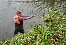 Intensifica Ayuntamiento de Veracruz acciones de limpieza de canales y mantenimiento vial para mejorar el entorno urbano