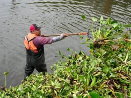 Intensifica Ayuntamiento de Veracruz acciones de limpieza de canales y mantenimiento vial para mejorar el entorno urbano