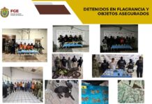 Fiscalía de Veracruz detiene a 45 personas y rescata 8 caninos en una semana en 28 municipios