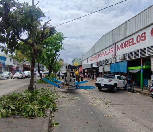 Invitan a pláticas de salud, seguridad y medio ambiente en mercados de Coatzacoalcos