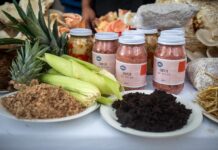 Xalapa, primer municipio de Veracruz en firmar Acuerdo Nacional por la Economía Circular