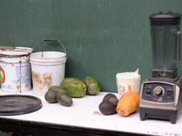 Ciencias Agrícolas capacitó en elaboración de biofertilizante a base de pescado