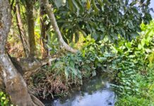 Detecta CMAS fuga en línea de 18 pulgadas y realizará trabajos de reparación para mejorar el suministro en el poniente